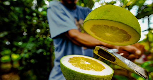 Is Cold Pressed Best?